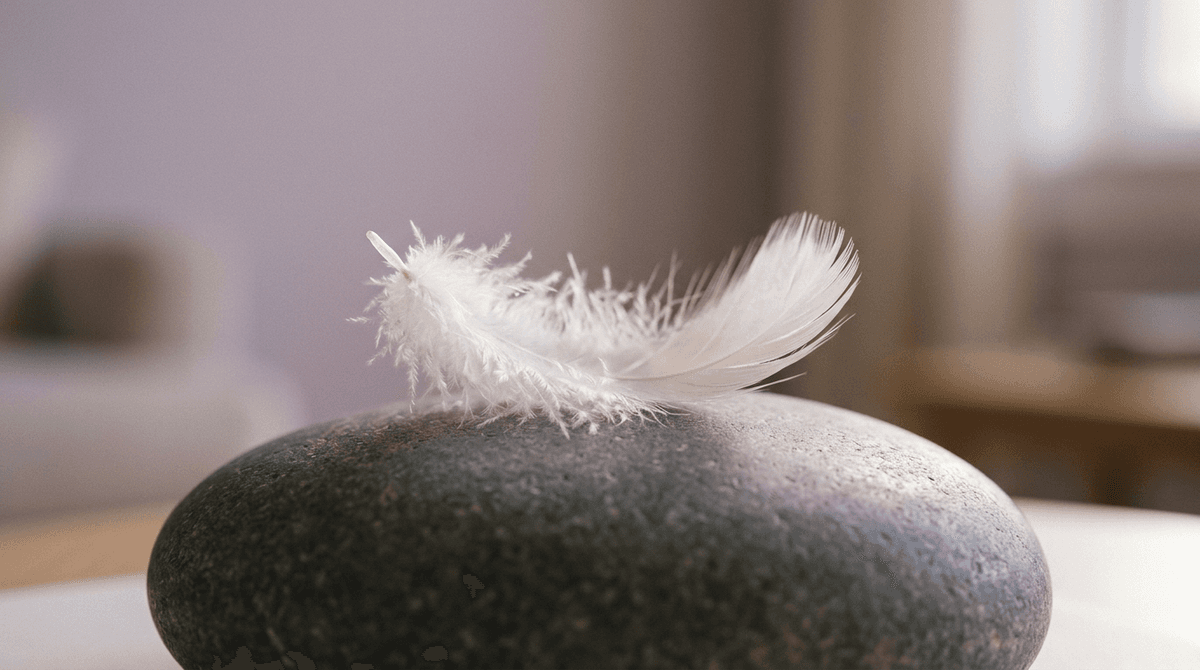 A soft feather resting on a smooth stone surface, an abstract contrast of sensation
